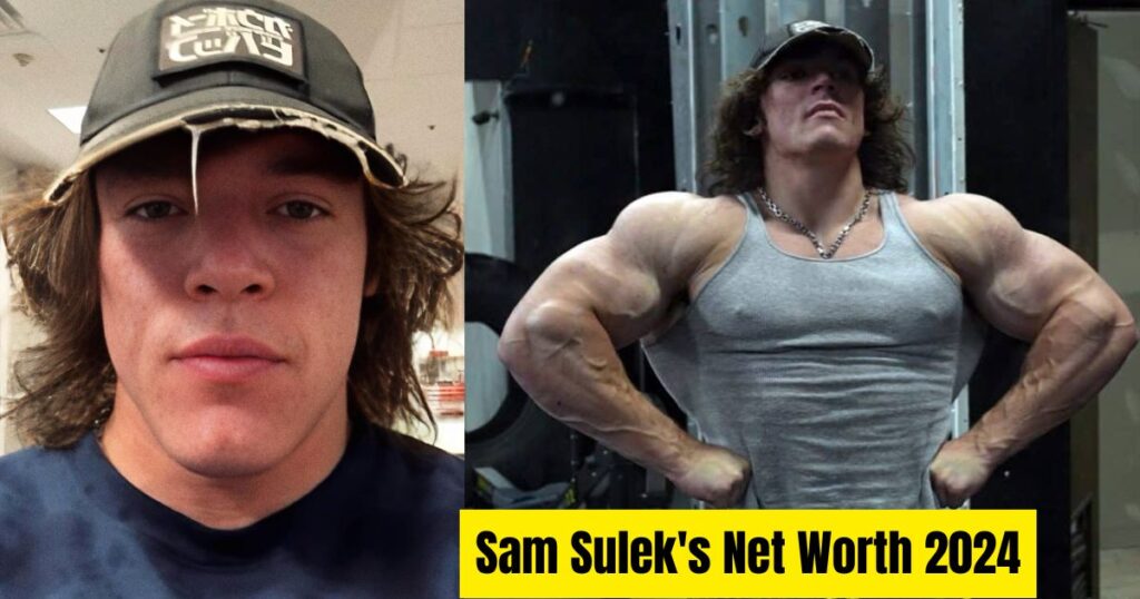 Sam Sulek's Net Worth 2024: A Story of Accomplishment and Financial Success